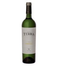 VINITERRA SERIE TERRA CHARDONNAY